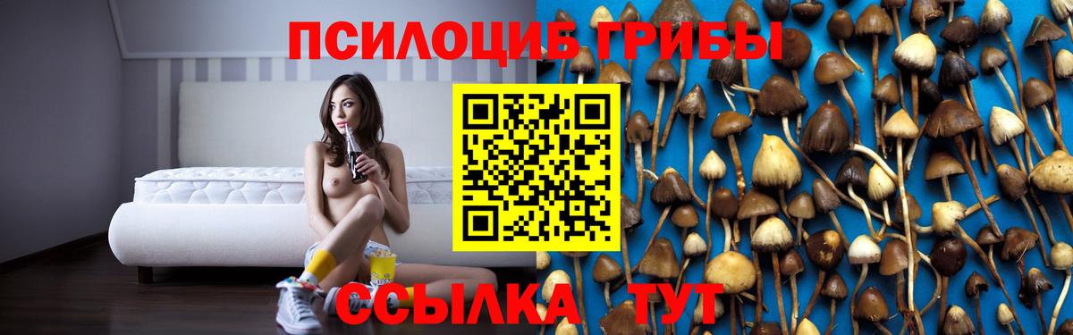 Псилоцибиновые грибы Psilocybine cubensis Гудермес