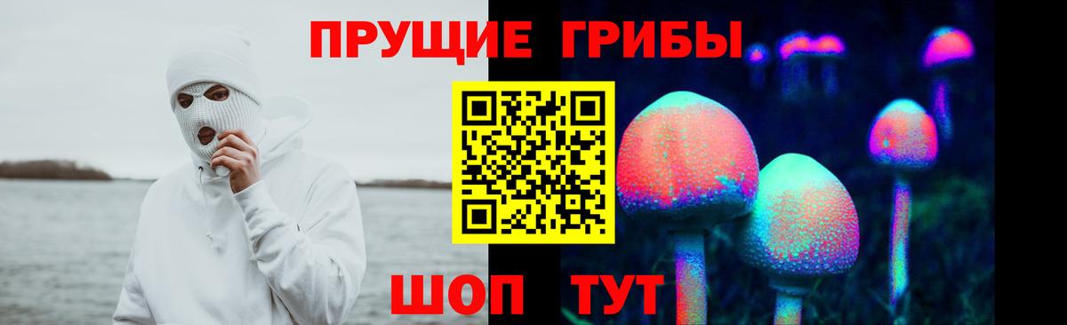 Псилоцибиновые грибы мухоморы  Галлюциногенные грибы Psilocybine cubensis  Гудермес  Вход с VPN 